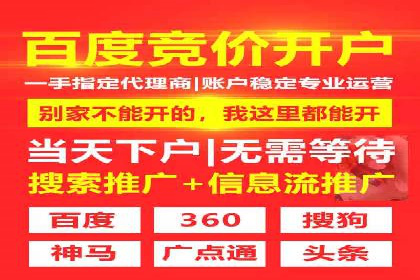SEM服务在本地化营销中的应用案例